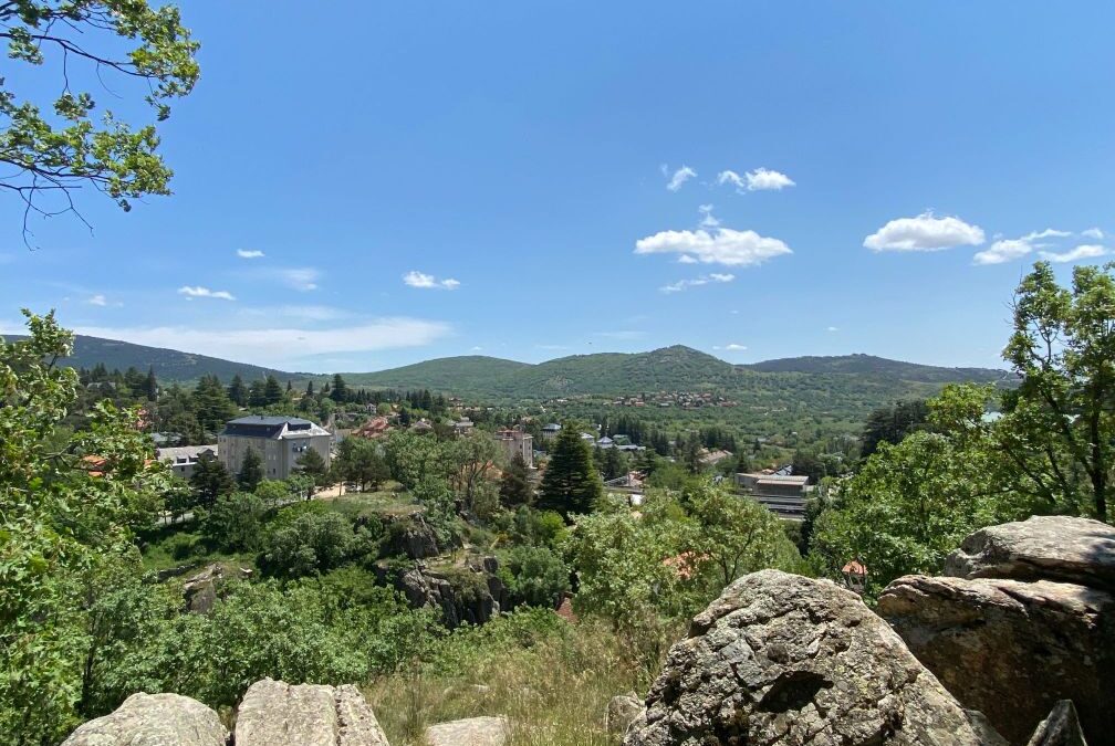 “Cambio rascacielos de Nueva York por pino de Cercedilla”