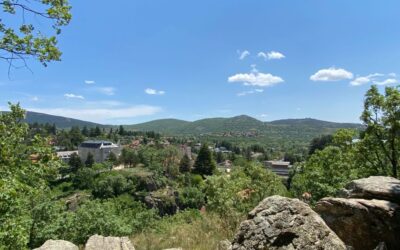 “Cambio rascacielos de Nueva York por pino de Cercedilla”